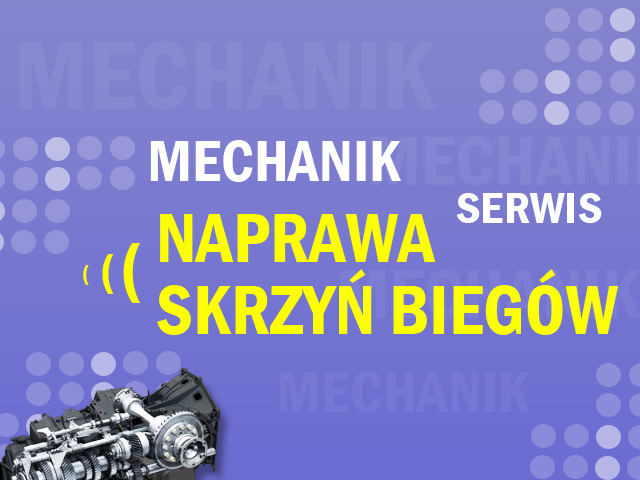 AUTOMATYCZNE i MANUALNE SKRZYNIE BIEG�W